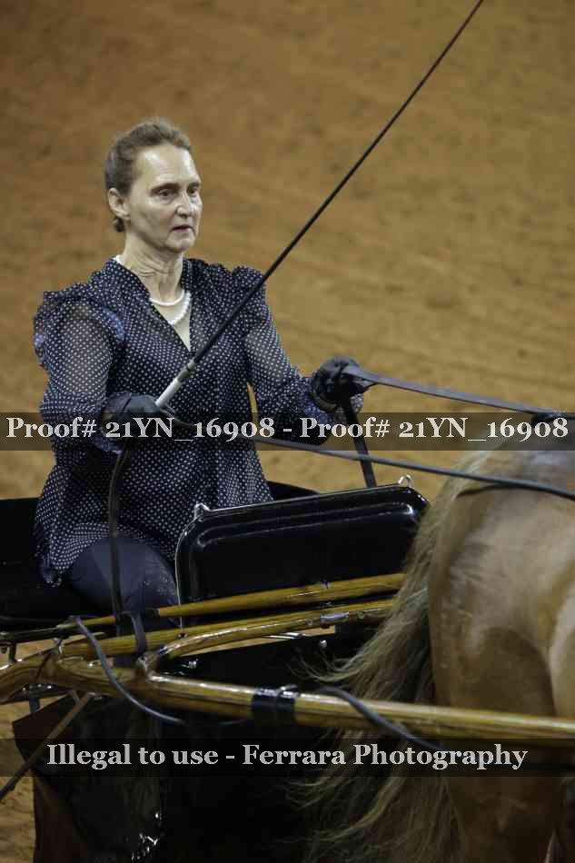 Proof 21YN_16908
