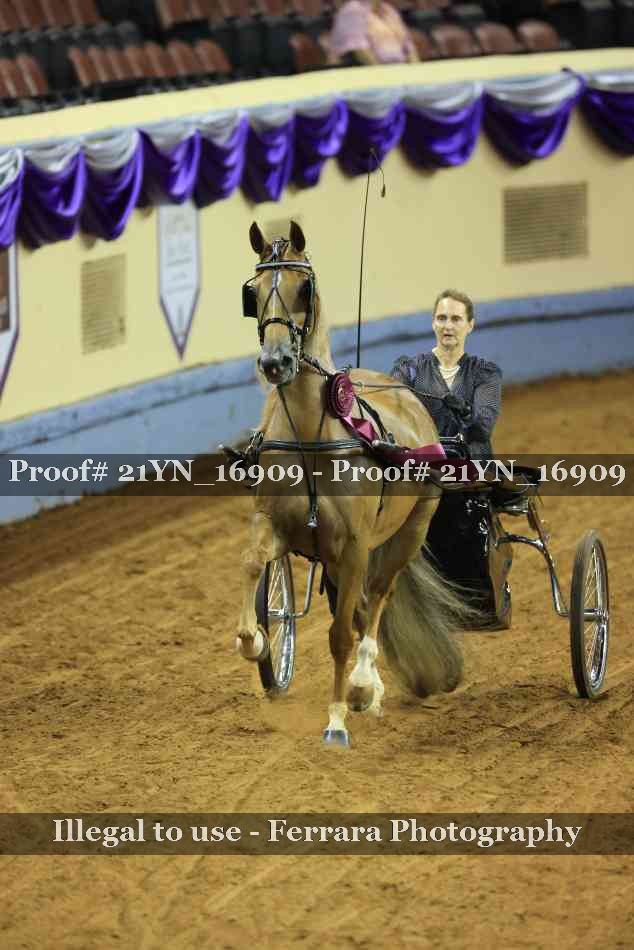 Proof 21YN_16909