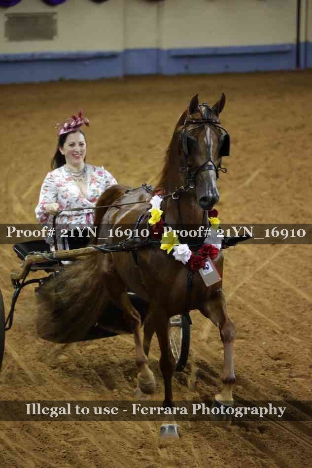 Proof 21YN_16910