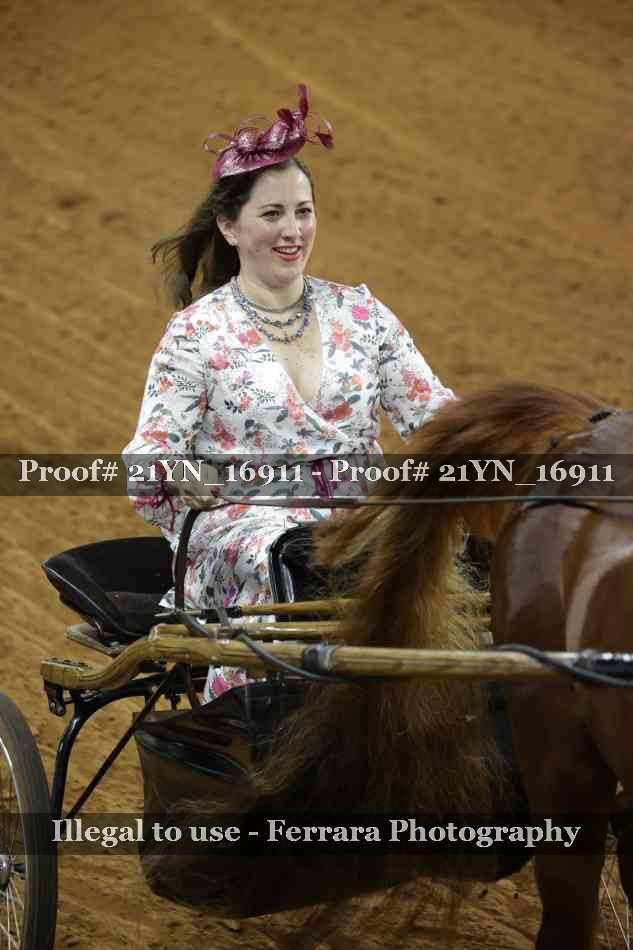 Proof 21YN_16911