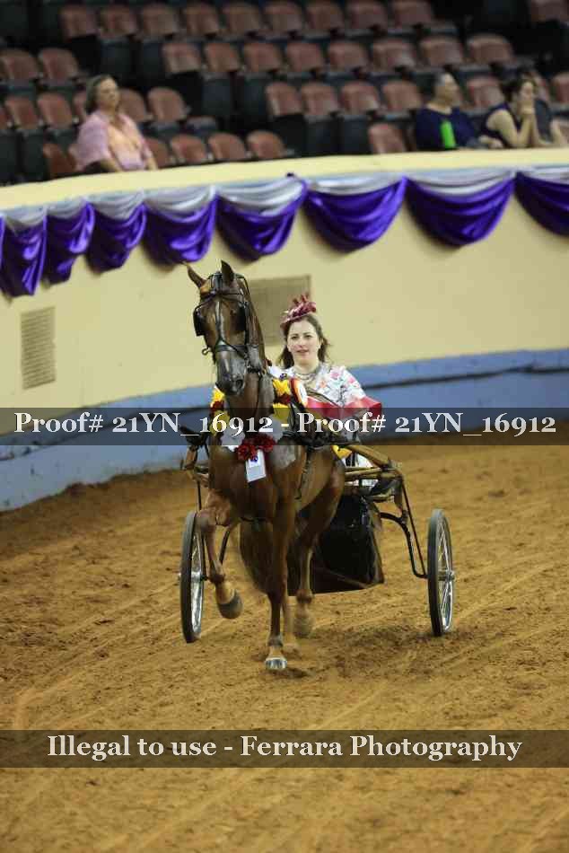 Proof 21YN_16912