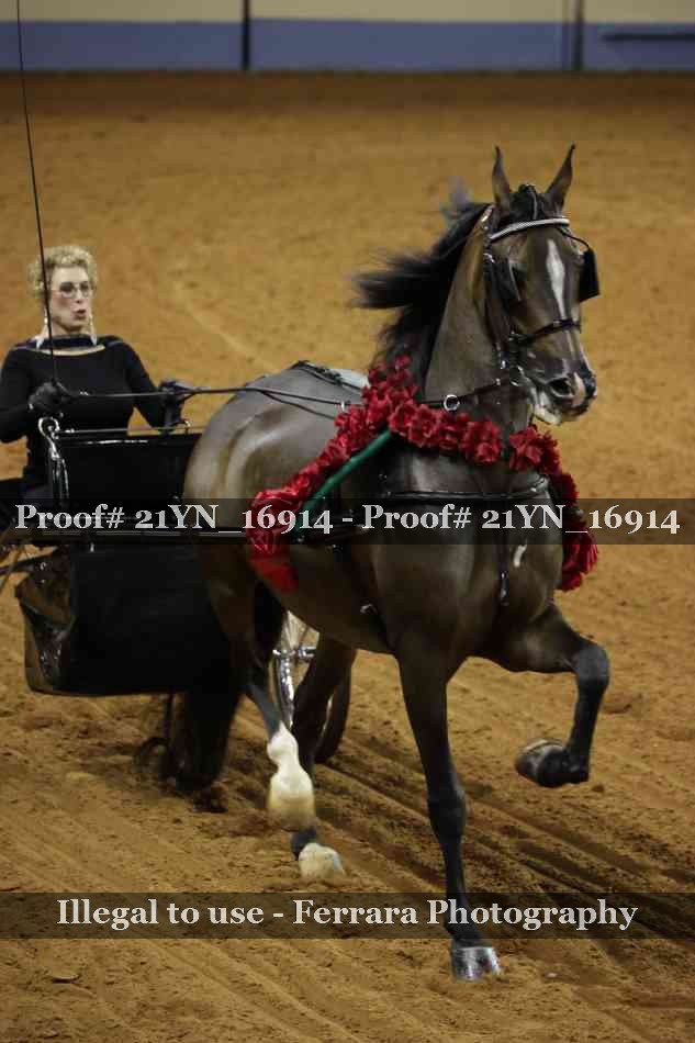 Proof 21YN_16914