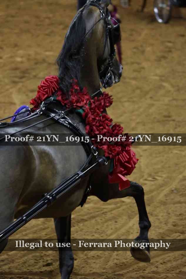 Proof 21YN_16915
