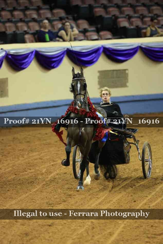 Proof 21YN_16916