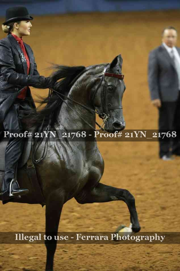 Proof 21YN_21768