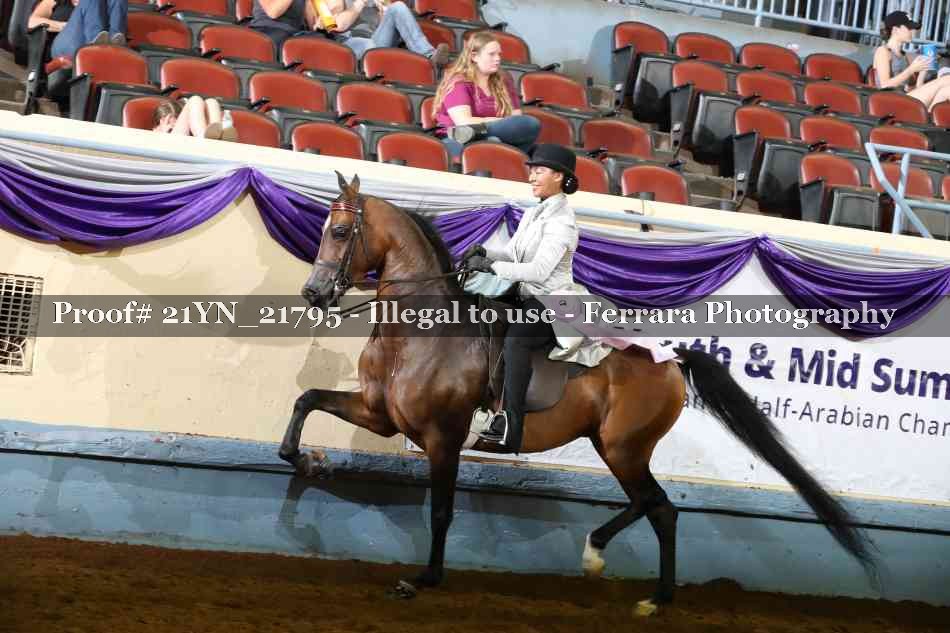 Proof 21YN_21795