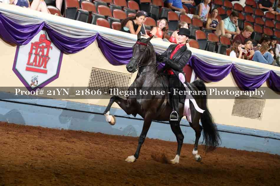 Proof 21YN_21806