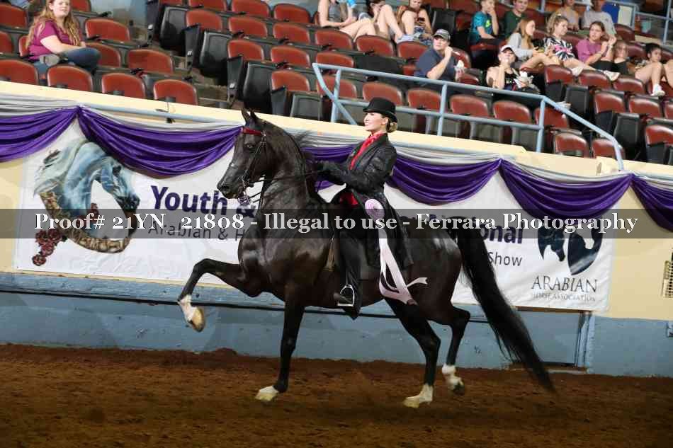 Proof 21YN_21808