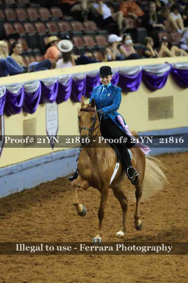 Proof 21YN_21816