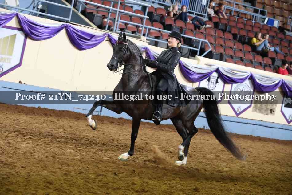 Proof 21YN_74240