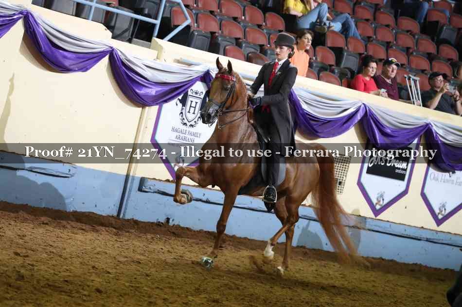 Proof 21YN_74274