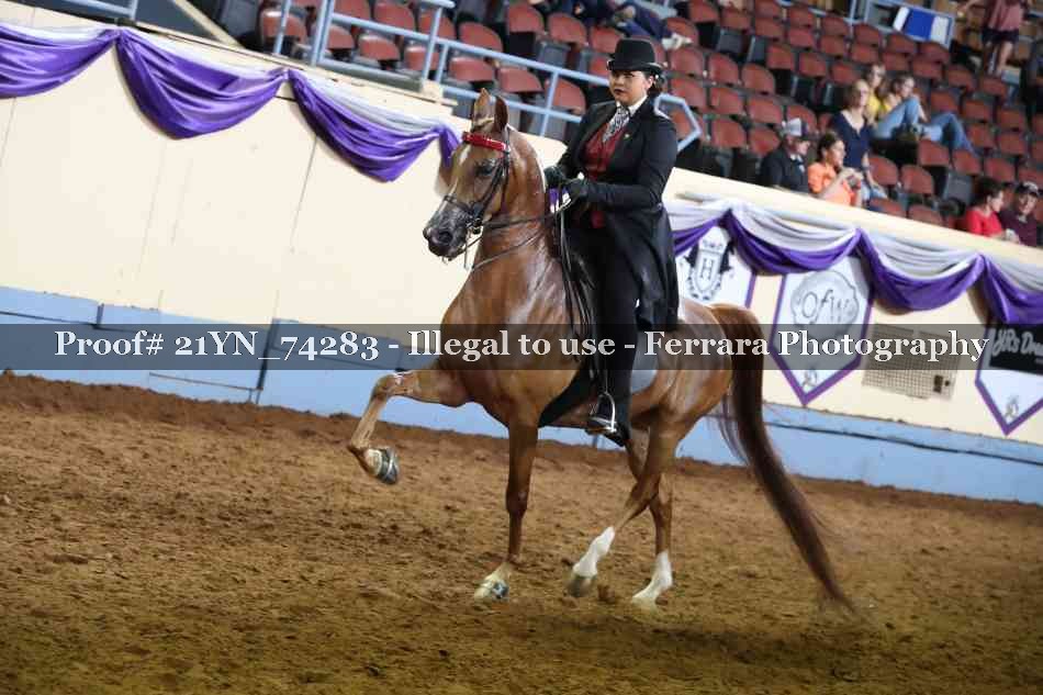 Proof 21YN_74283