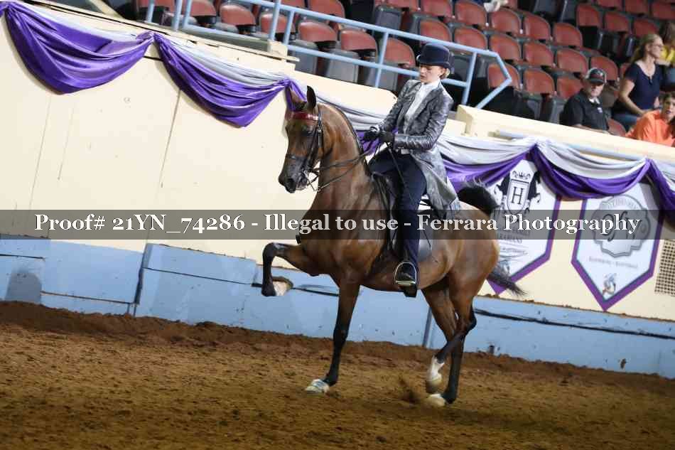 Proof 21YN_74286