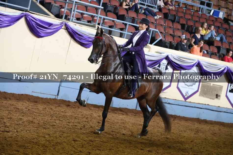 Proof 21YN_74291