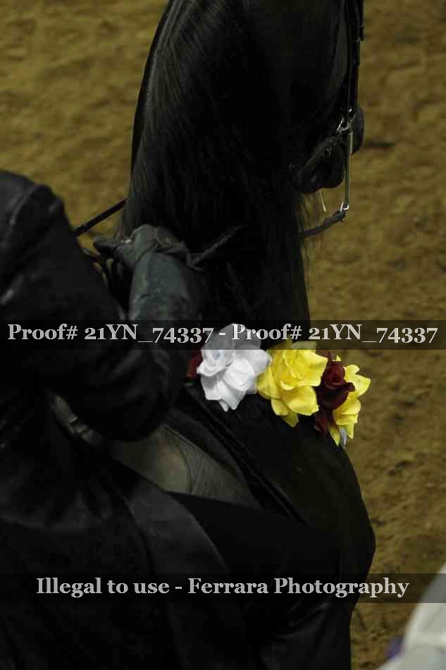 Proof 21YN_74337