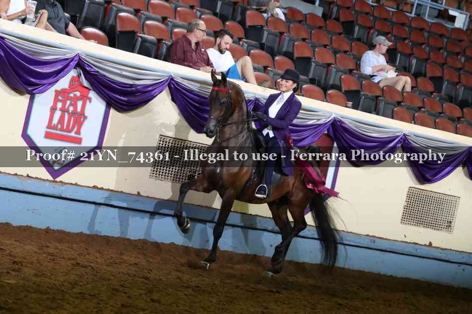 Proof 21YN_74361