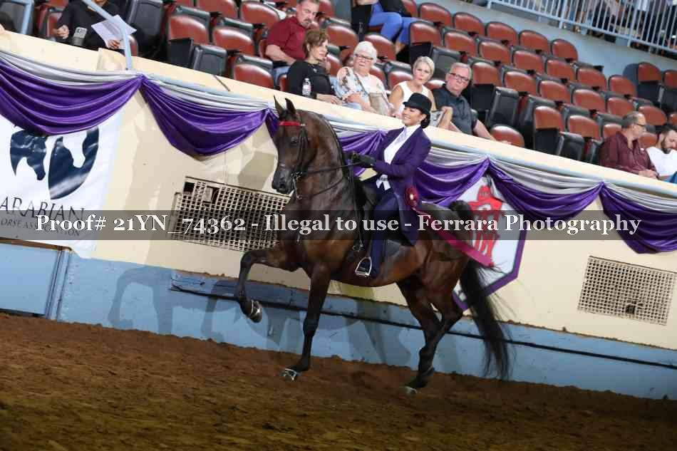 Proof 21YN_74362