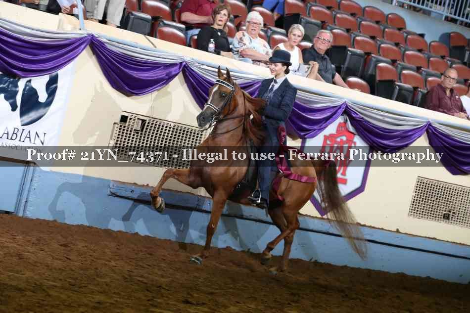 Proof 21YN_74371