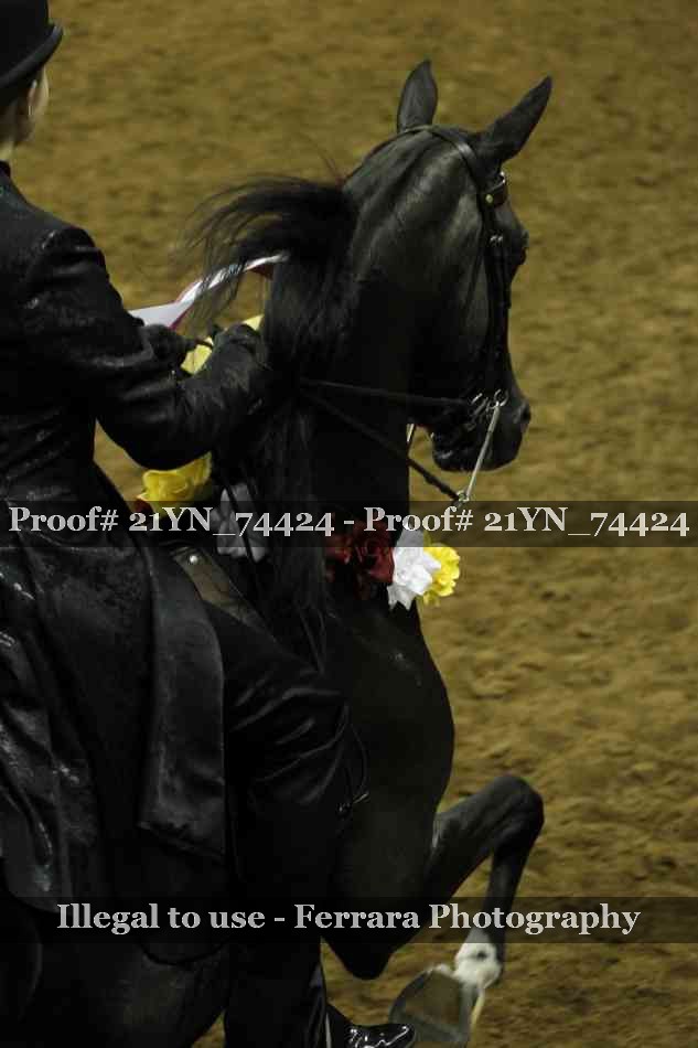 Proof 21YN_74424