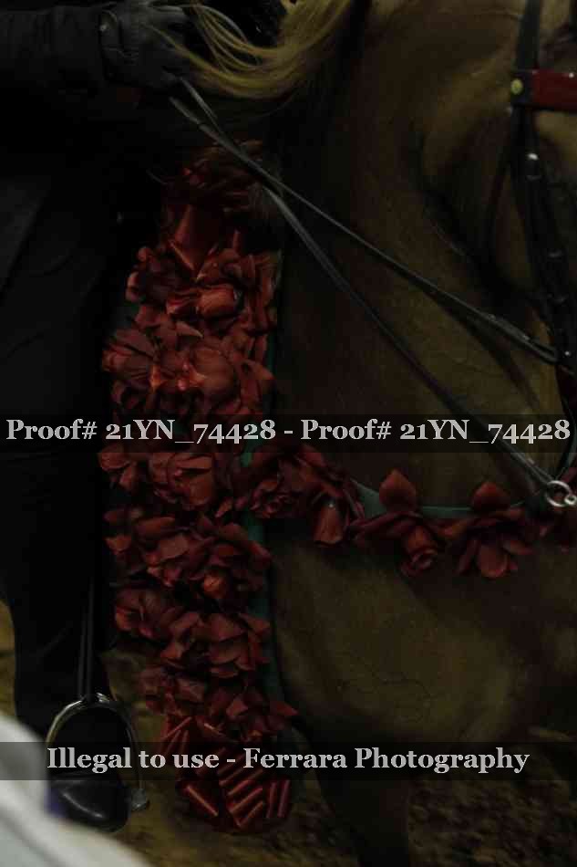 Proof 21YN_74428