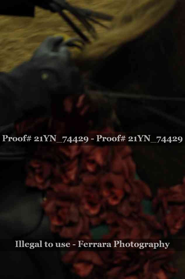 Proof 21YN_74429