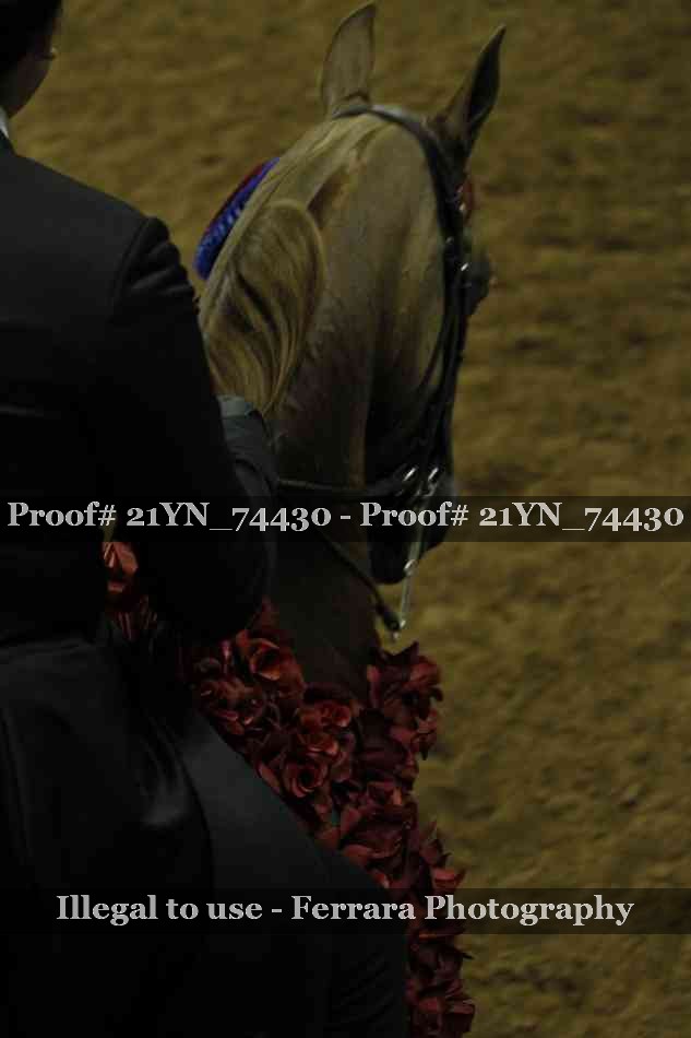 Proof 21YN_74430