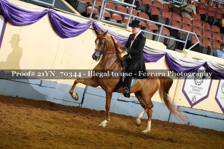 Proof 21YN_70344