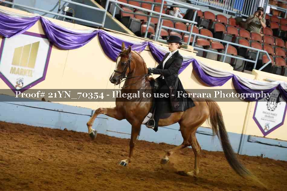 Proof 21YN_70354
