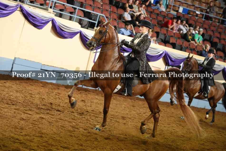 Proof 21YN_70356