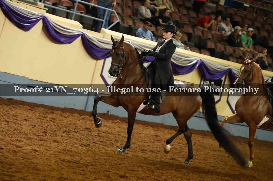 Proof 21YN_70364