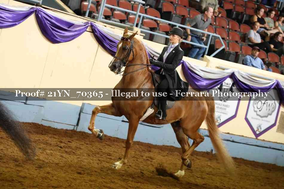 Proof 21YN_70365