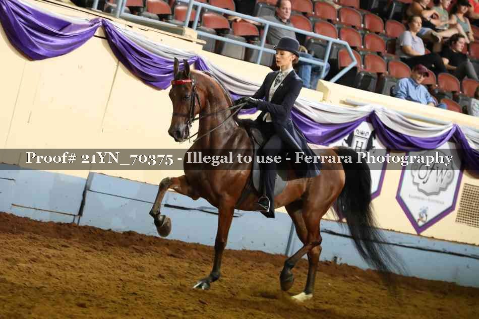 Proof 21YN_70375