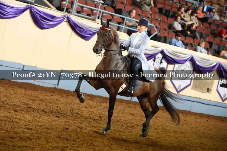 Proof 21YN_70378