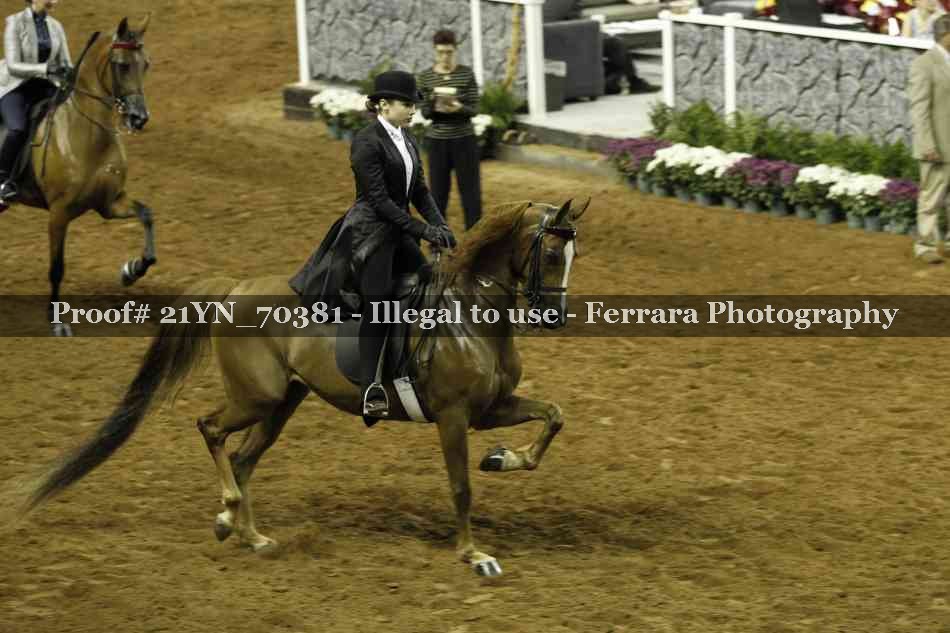 Proof 21YN_70381