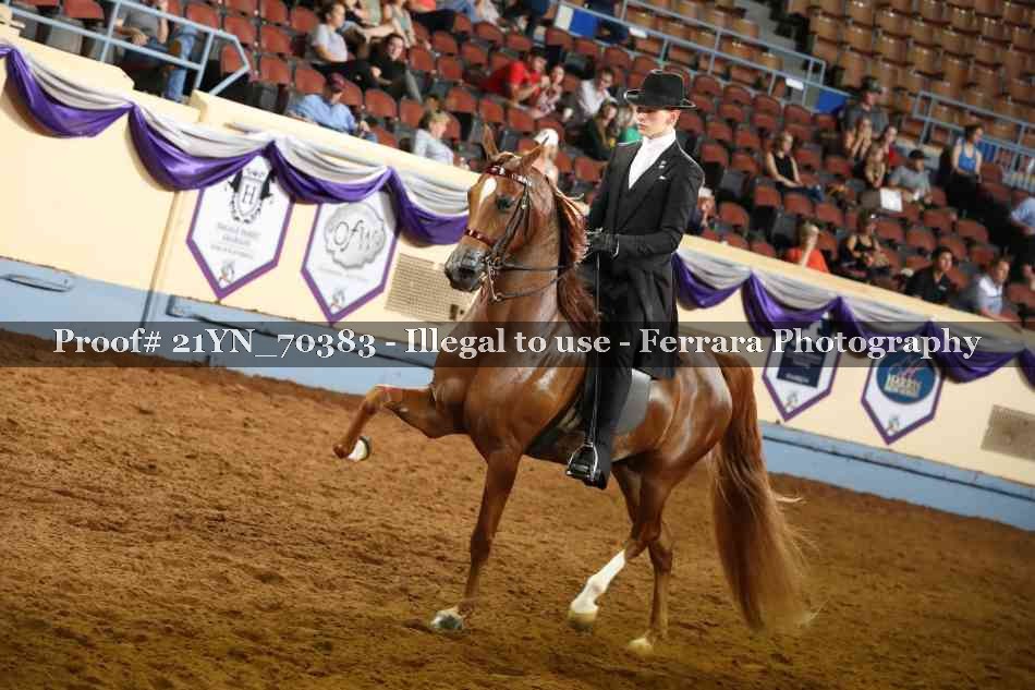 Proof 21YN_70383