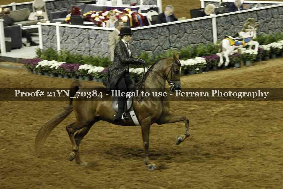 Proof 21YN_70384