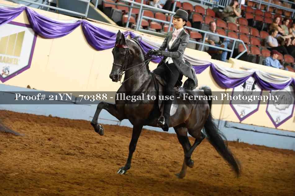 Proof 21YN_70388
