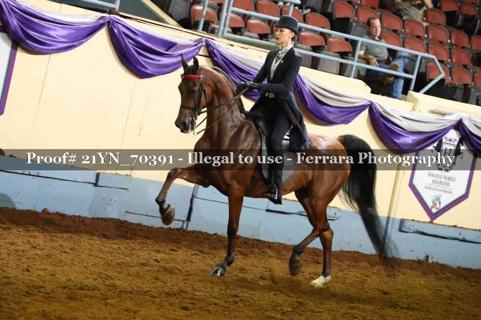 Proof 21YN_70391