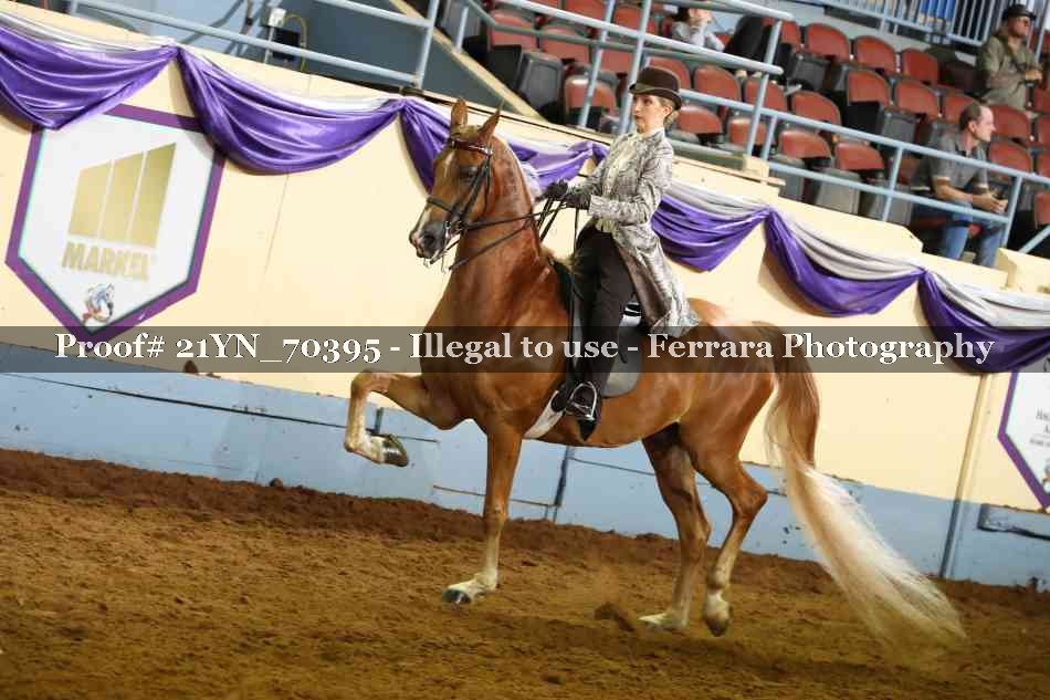 Proof 21YN_70395