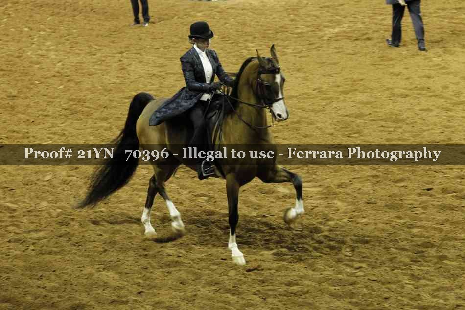 Proof 21YN_70396