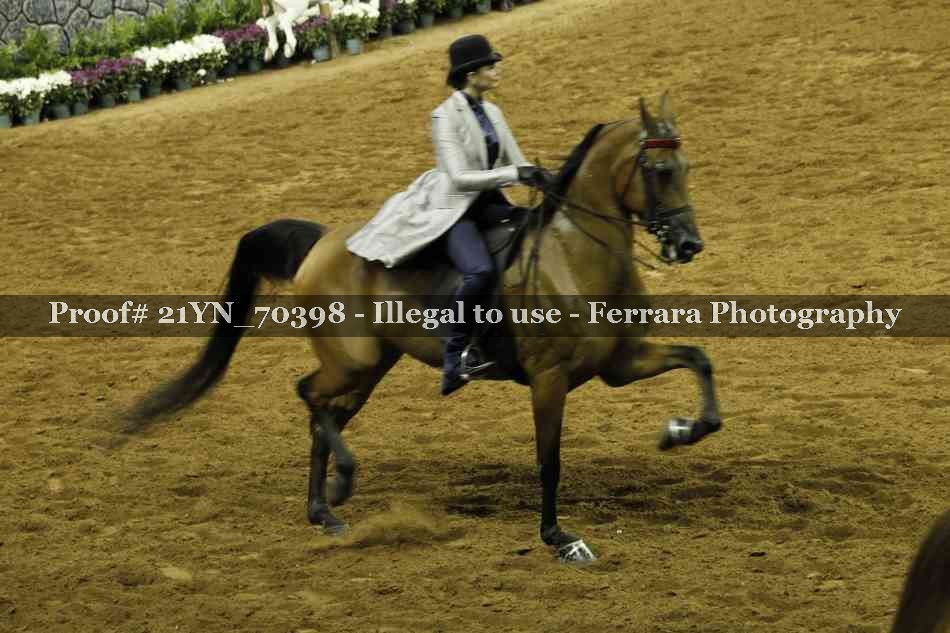Proof 21YN_70398