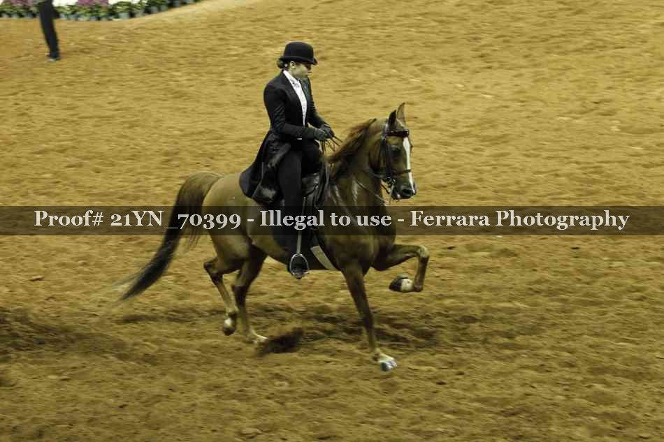 Proof 21YN_70399