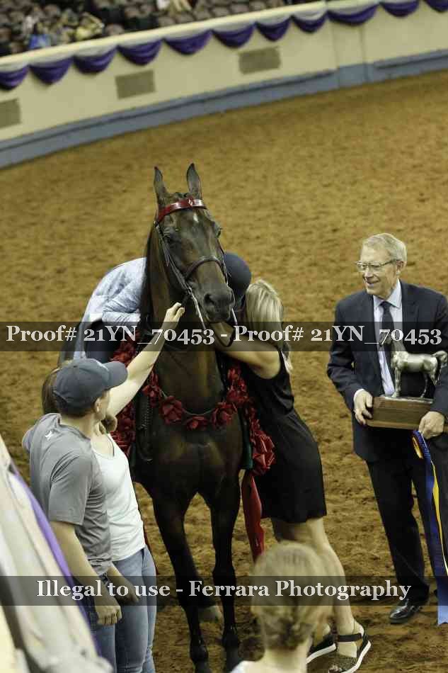 Proof 21YN_70453