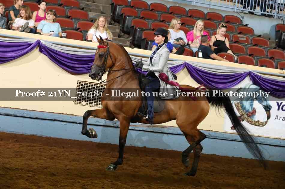 Proof 21YN_70481