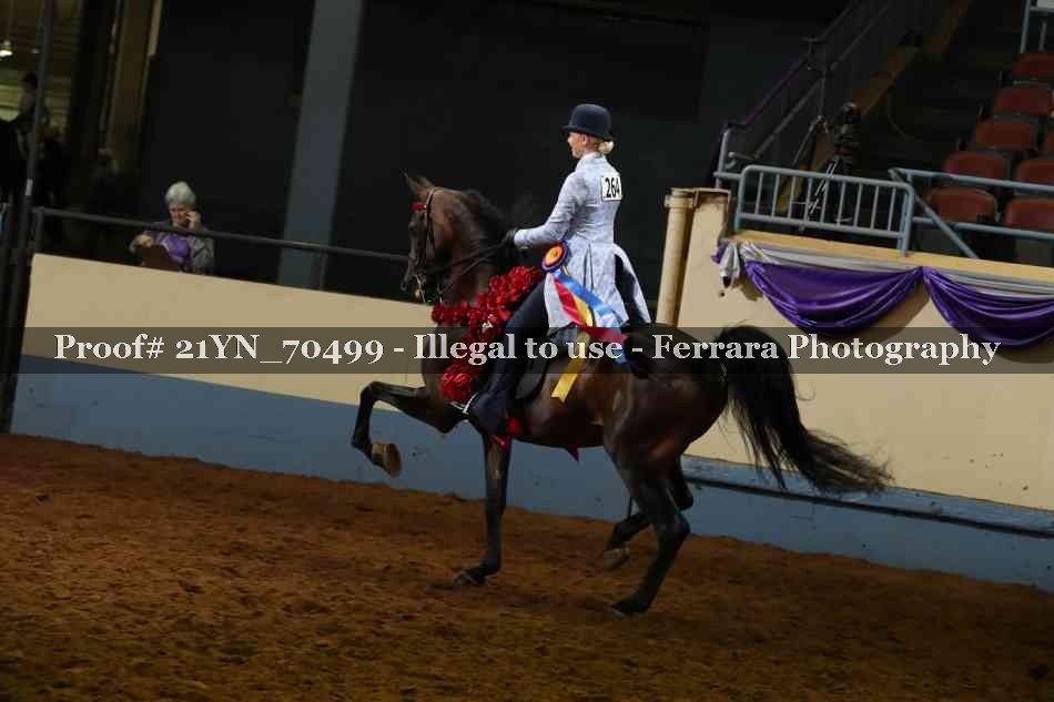 Proof 21YN_70499