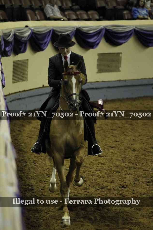 Proof 21YN_70502