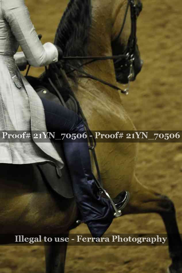 Proof 21YN_70506