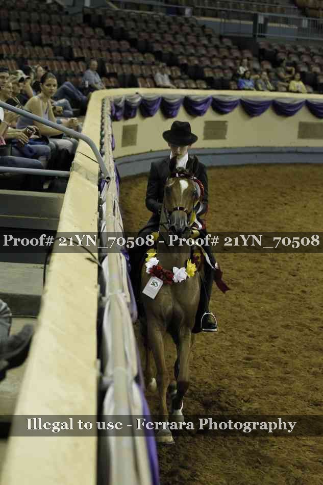 Proof 21YN_70508