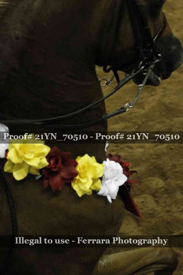 Proof 21YN_70510