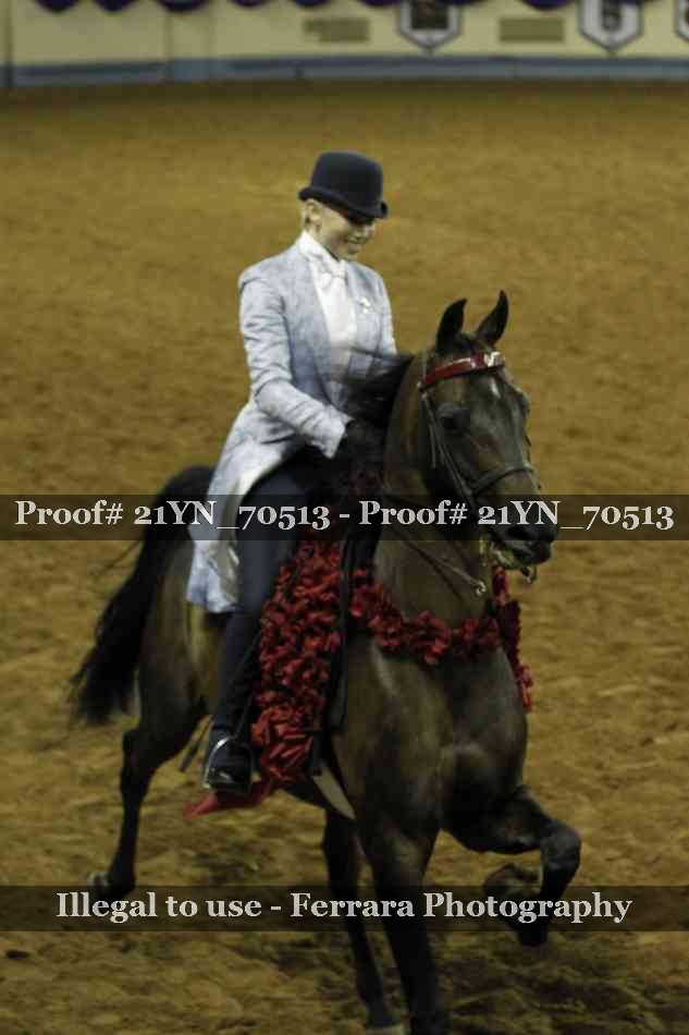 Proof 21YN_70513